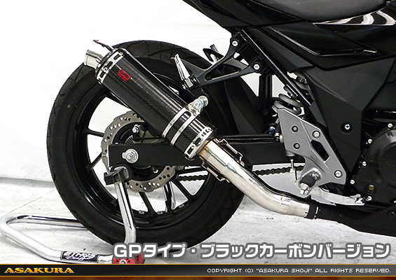 GSX250R用 TTRタイプマフラー GPタイプ ブラックカーボンバージョン