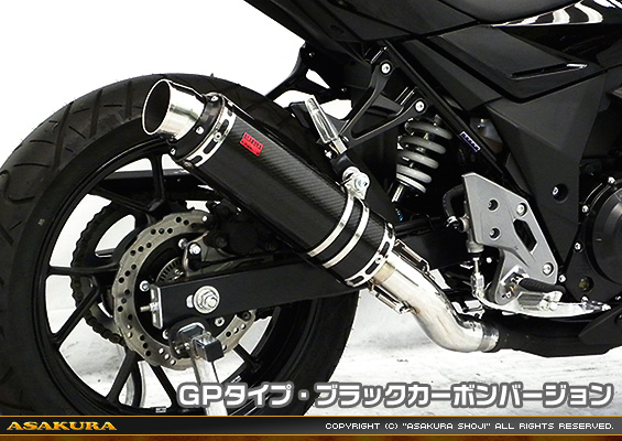 GSX250R用 TTRタイプマフラー GPタイプ ブラックカーボンバージョン