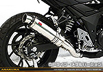 GSX250R用 TTRタイプマフラー GPタイプ メタルバージョン