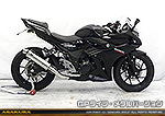 GSX250R用 TTRタイプマフラー GPタイプ メタルバージョン