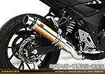 GSX250R用 TTRタイプマフラー GPタイプ チタンバージョン