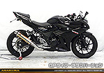 GSX250R用 TTRタイプマフラー GPタイプ チタンバージョン