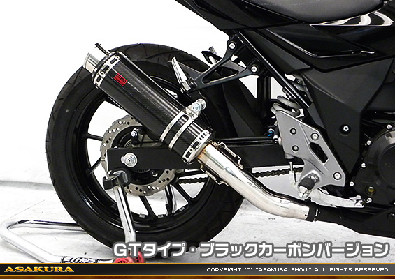 GSX250R用 TTRタイプマフラー GTタイプ ブラックカーボンバージョン