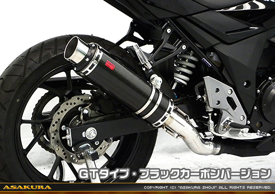GSX250R用 TTRタイプマフラー GTタイプ ブラックカーボンバージョン