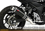 GSX250R用 TTRタイプマフラー GTタイプ ブラックカーボンバージョン