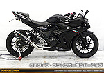 GSX250R用 TTRタイプマフラー GTタイプ ブラックカーボンバージョン