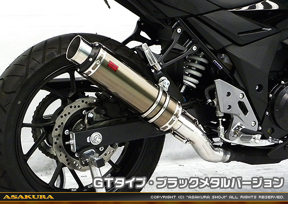 GSX250R用 TTRタイプマフラー GTタイプ ブラックメタルバージョン