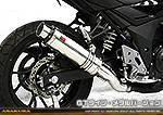 GSX250R用 TTRタイプマフラー GTタイプ メタルバージョン