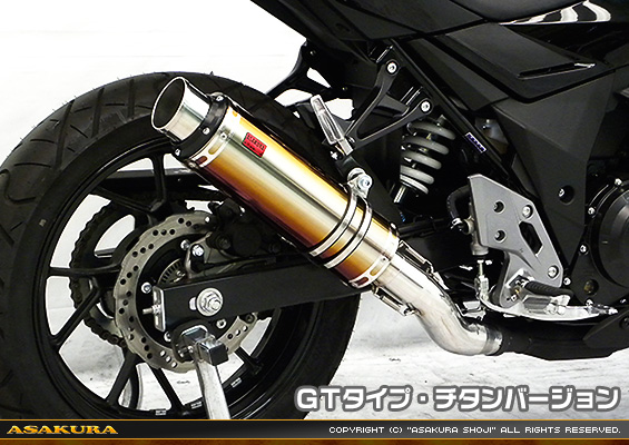 GSX250R用 TTRタイプマフラー GTタイプ チタンバージョン