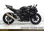 GSX250R用 TTRタイプマフラー GTタイプ チタンバージョン