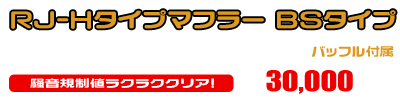 エイプ50（キャブレター仕様車）用 RJ-Hタイプマフラー BSタイプ ￥30,000（税込）