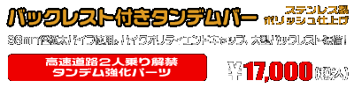 シグナスX【3型】【台湾仕様：SE465-1MS／国内仕様：SE44J（1YP）】用 バックレスト付きタンデムバー ￥17,000（税込）