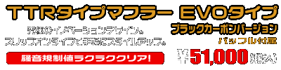 エリミネーター250V用 TTRタイプマフラー EVOタイプ ブラックカーボンバージョン