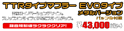 エリミネーター250V用 TTRタイプマフラー EVOタイプ メタルバージョン
