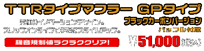 エリミネーター250V用 TTRタイプマフラー GPタイプ ブラックカーボンバージョン