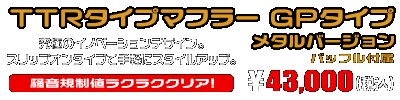 エリミネーター250V用 TTRタイプマフラー GPタイプ メタルバージョン