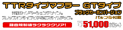 エリミネーター250V用 TTRタイプマフラー GTタイプ ブラックカーボンバージョン