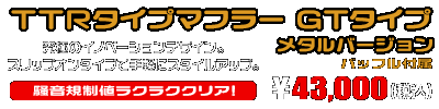 エリミネーター250V用 TTRタイプマフラー GTタイプ メタルバージョン