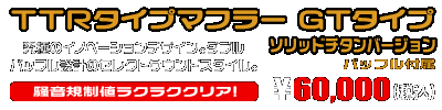 MF12フォルツァ Si用 TTRタイプマフラー GTタイプ ソリッドチタンバージョン ￥60,000（税込）