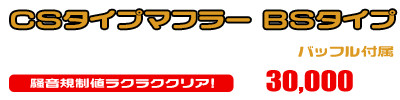 PGM-FI リトルカブ・PGM-FI カブ50用 CSタイプマフラー BSタイプ ￥30,000（税込）
