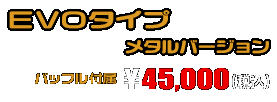 MT-25【2BK-RG43J】/MT-03【2BL-RH13J】用 TTRタイプマフラー EVOタイプ メタルバージョン ￥49,000（税込）