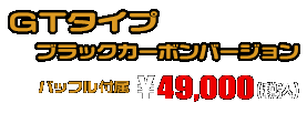 MT-25【2BK-RG43J】/MT-03【2BL-RH13J】用 TTRタイプマフラー GTタイプ ブラックカーボンバージョン ￥49,000（税込）