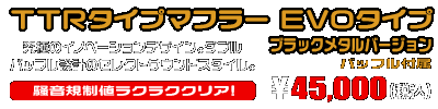 Ninja250【JBK-EX250L】／Z250【JBK-ER250C】用 TTRタイプマフラー EVOタイプ ブラックメタルバージョン ￥45,000（税込）