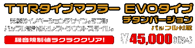 Ninja250【JBK-EX250L】／Z250【JBK-ER250C】用 TTRタイプマフラー EVOタイプ チタンバージョン ￥45,000（税込）