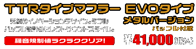 Ninja250【2BK-EX250P】用 TTRタイプマフラー EVOタイプ メタルバージョン ￥41,000（税込）