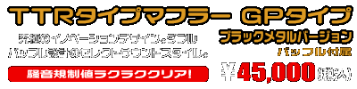Ninja250SL【JBK-BX250A】用 TTRタイプマフラー GPタイプ ブラックメタルバージョン ￥45,000（税込）