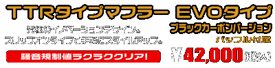 レブル250【2BK-MC49】用 TTRタイプマフラー EVOタイプ ブラックカーボンバージョン ￥42,000（税込）