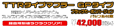 レブル250【2BK-MC49】用 TTRタイプマフラー GPタイプ ブラックカーボンバージョン ￥42,000（税込）