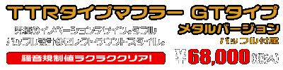 TMAX530【 SJ12J・SJ091・SJ092 】用 TTRタイプマフラー GTタイプ メタルバージョン ￥68,000（税込）