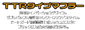 YZF-R25【2BK-RG43J】/YZF-R3【2BL-RH13J】用 TTRタイプマフラー GTタイプ ブラックカーボンバージョン ￥49,000（税込）