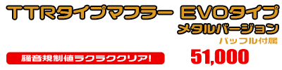 ZX-25R【8BK-ZX250H】用 TTRタイプマフラー EVOタイプ メタルバージョン ￥51,000（税込）