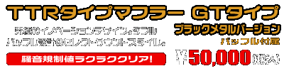 ZX-25R【8BK-ZX250H】用 TTRタイプマフラー GTタイプ ブラックメタルバージョン