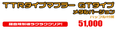 ZX-4R・ZX-4RR【8BL-ZX400P】用 TTRタイプマフラー GTタイプ メタルバージョン ￥51,000（税込）