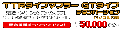 ZX-4R・ZX-4RR【8BL-ZX400P】用 TTRタイプマフラー GTタイプ チタンバージョン