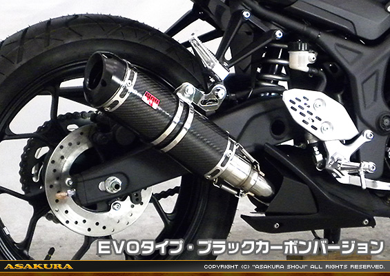 MT-25【2BK-RG43J】/MT-03【2BL-RH13J】用 TTRタイプマフラー EVOタイプ ブラックカーボンバージョン