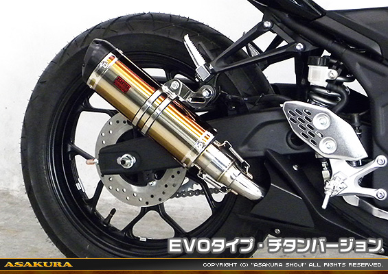 MT-25【2BK-RG43J】/MT-03【2BL-RH13J】用 TTRタイプマフラー EVOタイプ チタンバージョン