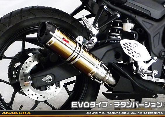 MT-25【2BK-RG43J】/MT-03【2BL-RH13J】用 TTRタイプマフラー EVOタイプ チタンバージョン