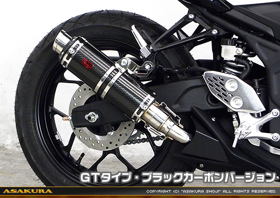 MT-25【2BK-RG43J】/MT-03【2BL-RH13J】用 TTRタイプマフラー GTタイプ ブラックカーボンバージョン
