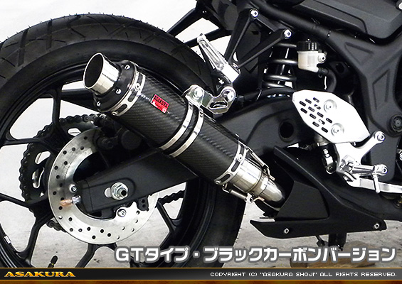 MT-25【2BK-RG43J】/MT-03【2BL-RH13J】用 TTRタイプマフラー GTタイプ ブラックカーボンバージョン