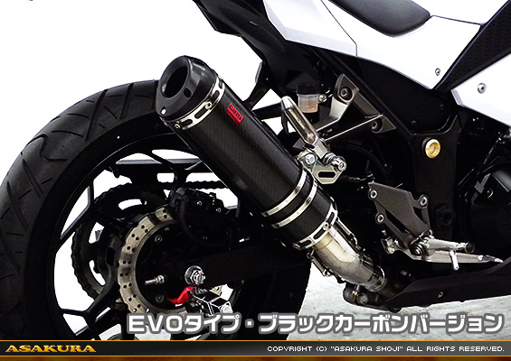 Ninja250【JBK-EX250L】／Z250【JBK-ER250C】用 TTRタイプマフラー EVOタイプ ブラックカーボンバージョン