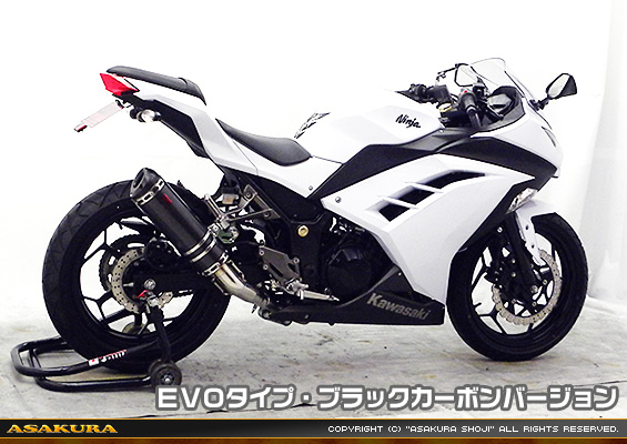 Ninja250【JBK-EX250L】／Z250【JBK-ER250C】用 TTRタイプマフラー EVOタイプ ブラックカーボンバージョン