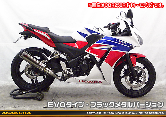 Ninja250【JBK-EX250L】／Z250【JBK-ER250C】用 TTRタイプマフラー EVOタイプ ブラックメタルバージョン