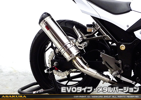 Ninja250【JBK-EX250L】／Z250【JBK-ER250C】用 TTRタイプマフラー EVOタイプ メタルバージョン