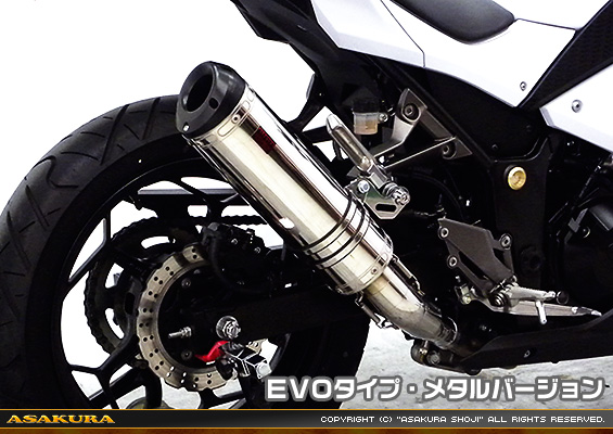 Ninja250【JBK-EX250L】／Z250【JBK-ER250C】用 TTRタイプマフラー EVOタイプ メタルバージョン