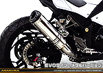 Ninja250【JBK-EX250L】／Z250【JBK-ER250C】用 TTRタイプマフラー EVOタイプ メタルバージョン