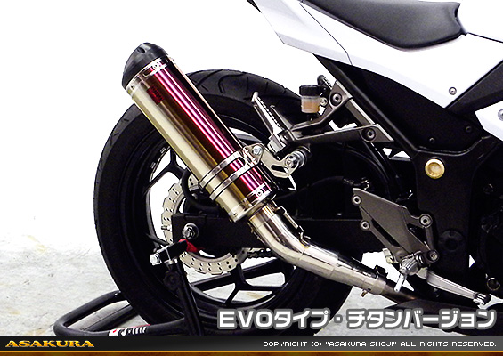 Ninja250【JBK-EX250L】／Z250【JBK-ER250C】用 TTRタイプマフラー EVOタイプ チタンバージョン